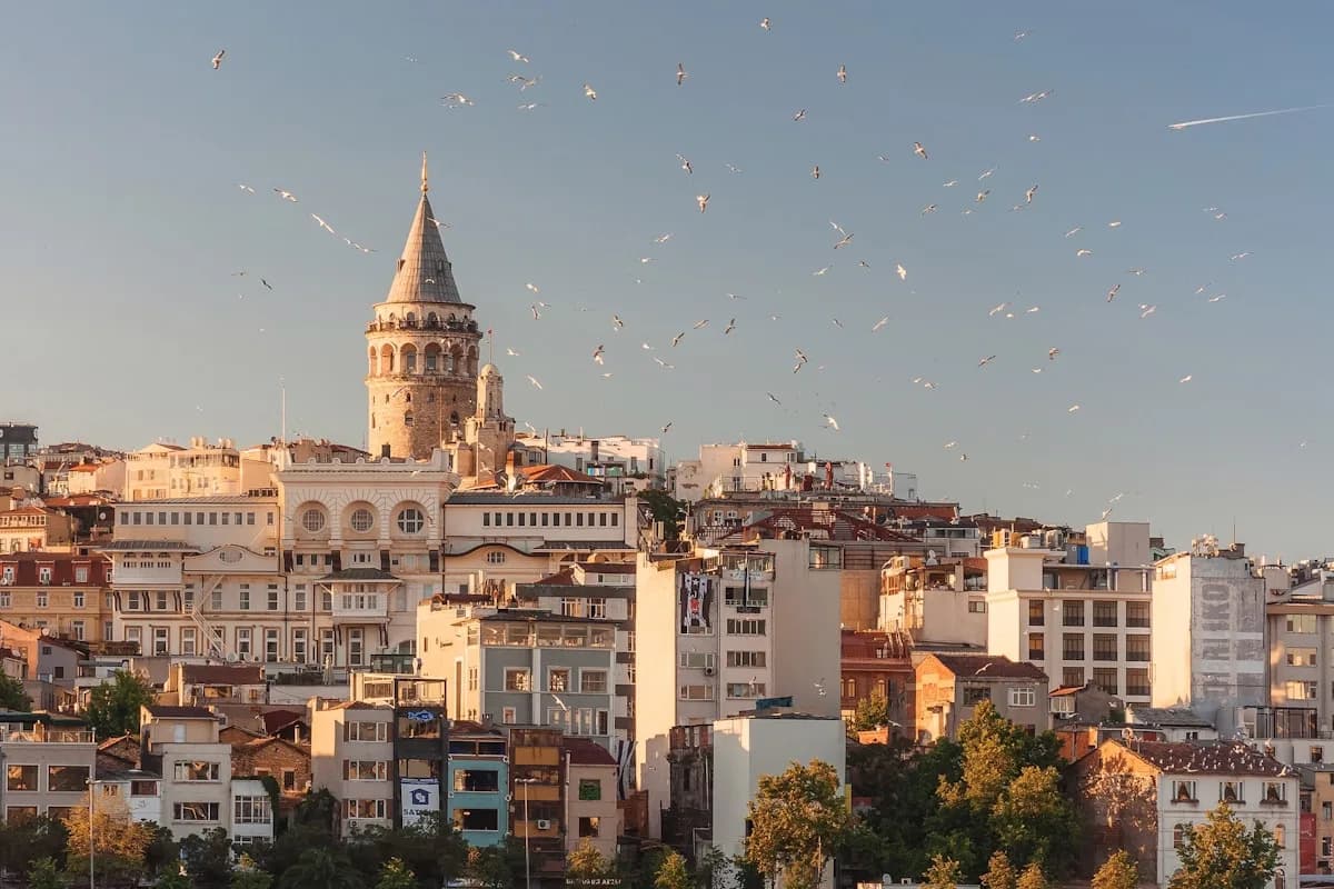 Doğa ve şehir